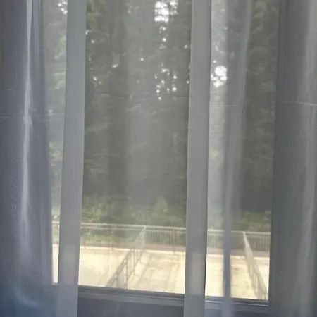 флора 213б Aparthotel Borovets