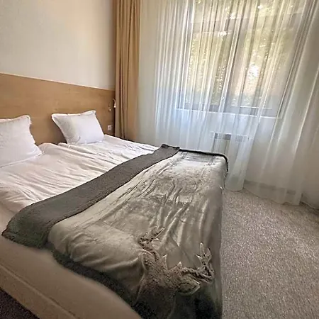 флора 213б 3* 波罗维茨