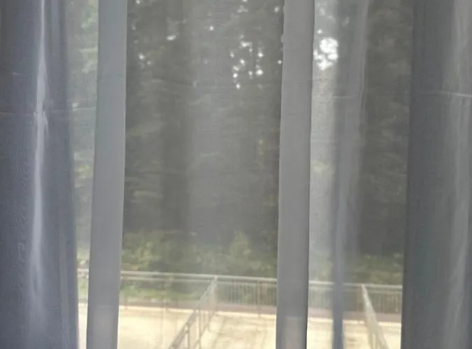 флора 213б Апартхотел Боровец