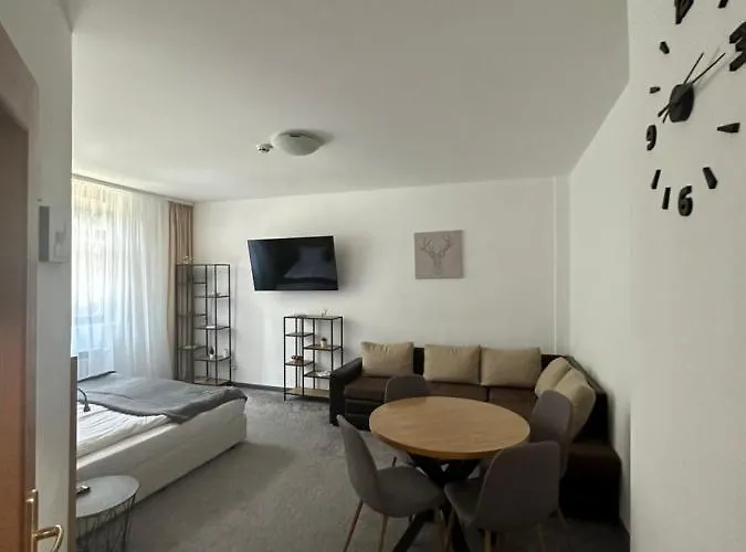 флора 213б Апартхотел